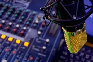 megemenu radio
